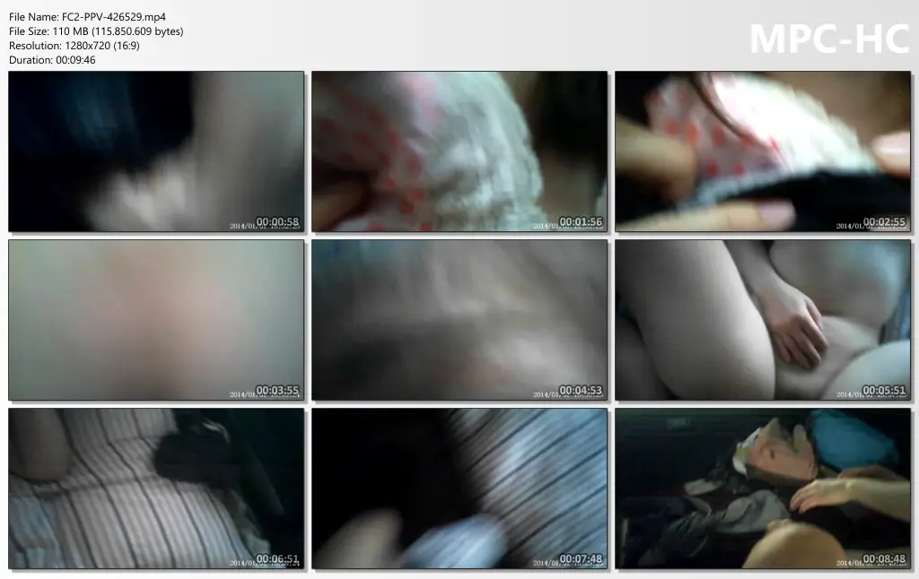 セフレとCARSEX　3(1-1-3)